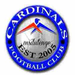 Cardinal FC Logo