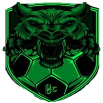 Bondeni Youth Logo