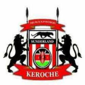 Sunderland Logo