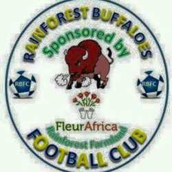 Rain Forest Logo