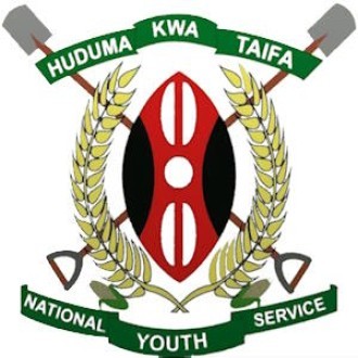 NYS Gilgil Logo