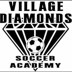 Village Diamond Logo