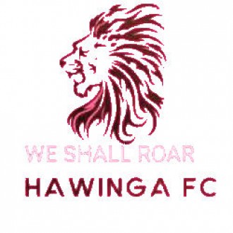 Hawinga FC Logo