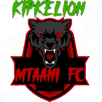 Mtaani FC Logo