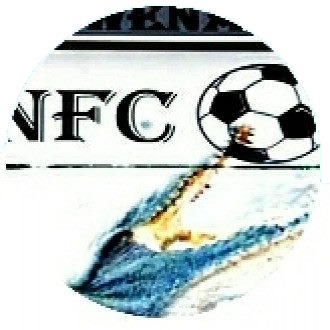 Ngwena Boys Logo
