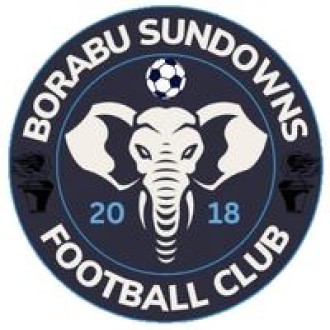 Borabu Sundowns Logo