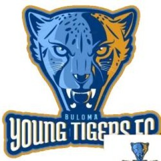 Young Tigers FC(Busia) Logo