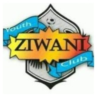 Ziwani Youth Logo