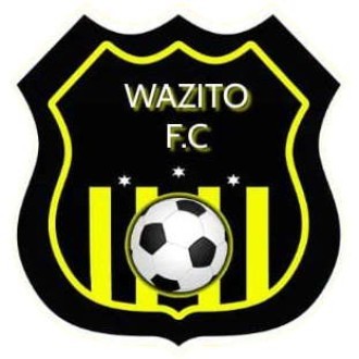 Wazito FC(Njoro) Logo