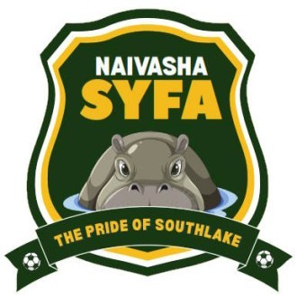 Syfa Stars Logo