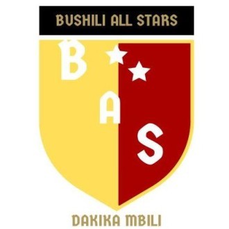 Bushili Allstars Logo
