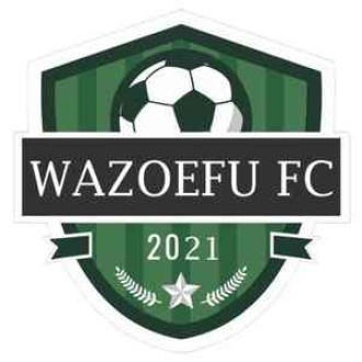 Wazoefu FC(Nairobi) Logo