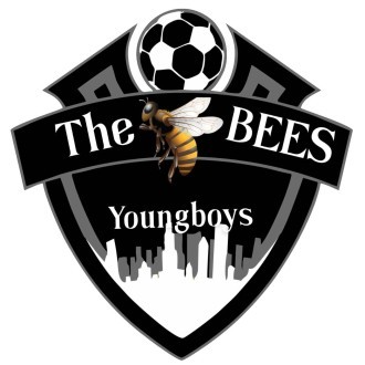 Young Boys Munyuki(Lugari) Logo