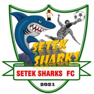 Setek Sharks Logo