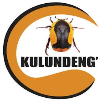 Kulundeng' Original B Logo