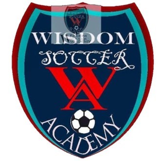 Wisdom Soccer Academy Logo