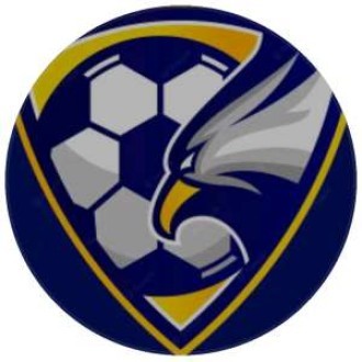 Super Eagles Acad U13 Logo