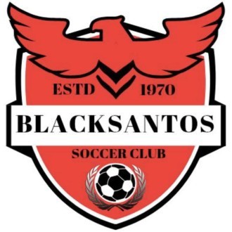 Black Santos Logo