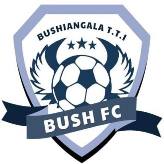 Bushiangala TTI Logo
