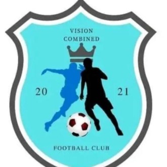 Vision Combined Logo