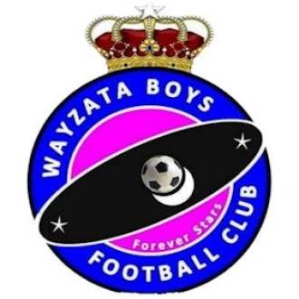 Wayzata Boys FC Logo