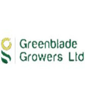 Greenblade FC(Nyandarua) Logo