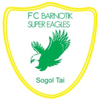 Barnotik Super Eagles Logo