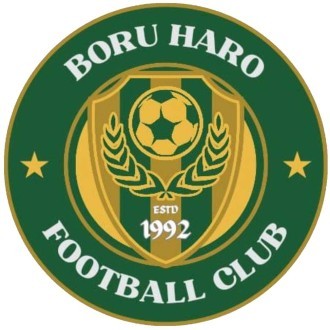 Boru Harro Logo