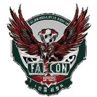 Falcon Vipers Logo