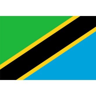 Tanzania Logo