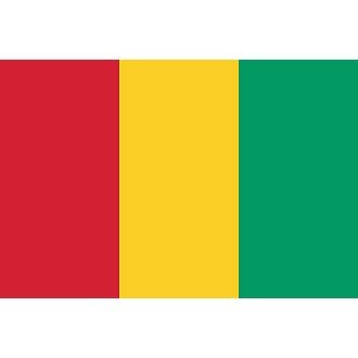 Guinea Logo