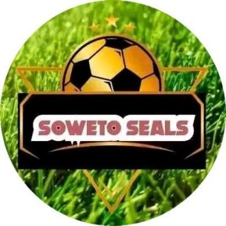 Soweto Seals Logo
