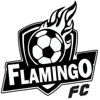 Flamingo Allstars Logo