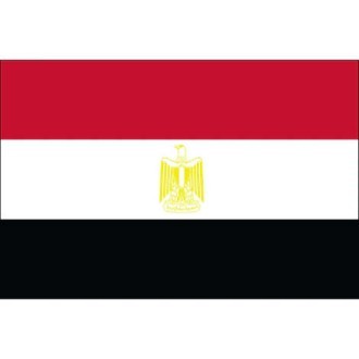 Egypt Logo
