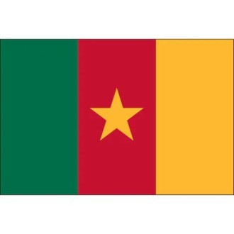 Cameroon Logo