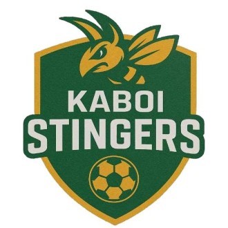 Kaboi Stingers Logo