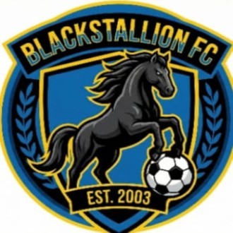Black Stallion Logo