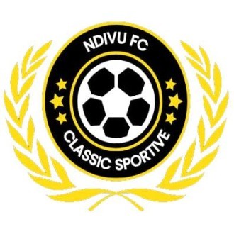 Ndivu Falcons Logo