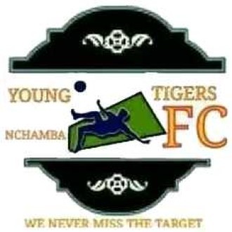 Young Tigers(Tharaka Nithi) Logo