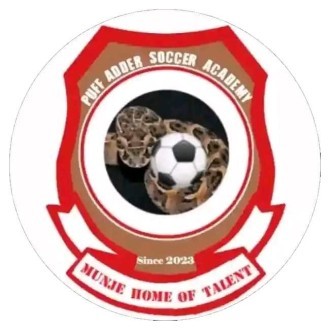 Puff Adder Soccer Acad Logo