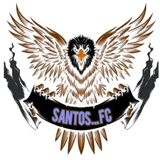 Santos FC(Meru) Logo