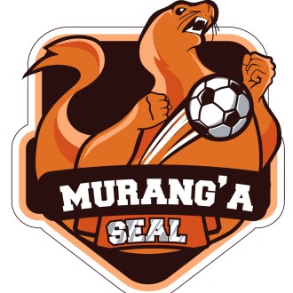 Murang'a Lionesses Logo