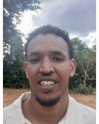Ali Abdi