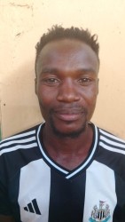 Alango Darwine