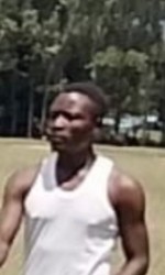 Alex Sasaka