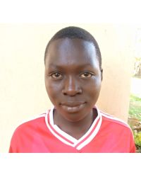 Anyokorit Lavenda