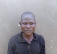 David Okome