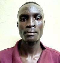 Ekesa David