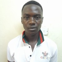 Ekomor Dalmas