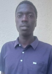 Filex Obarasa